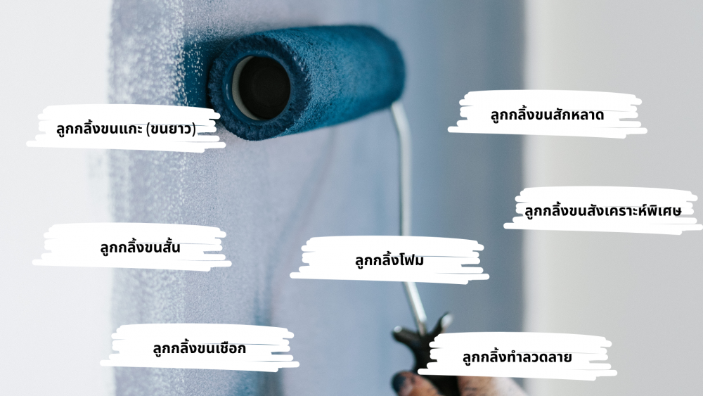 วิธีเลือก ลูกกลิ้งทาสี ให้เหมาะกับงานของคุณ พร้อมวิธีดูแลรักษาอย่างมืออาชีพ