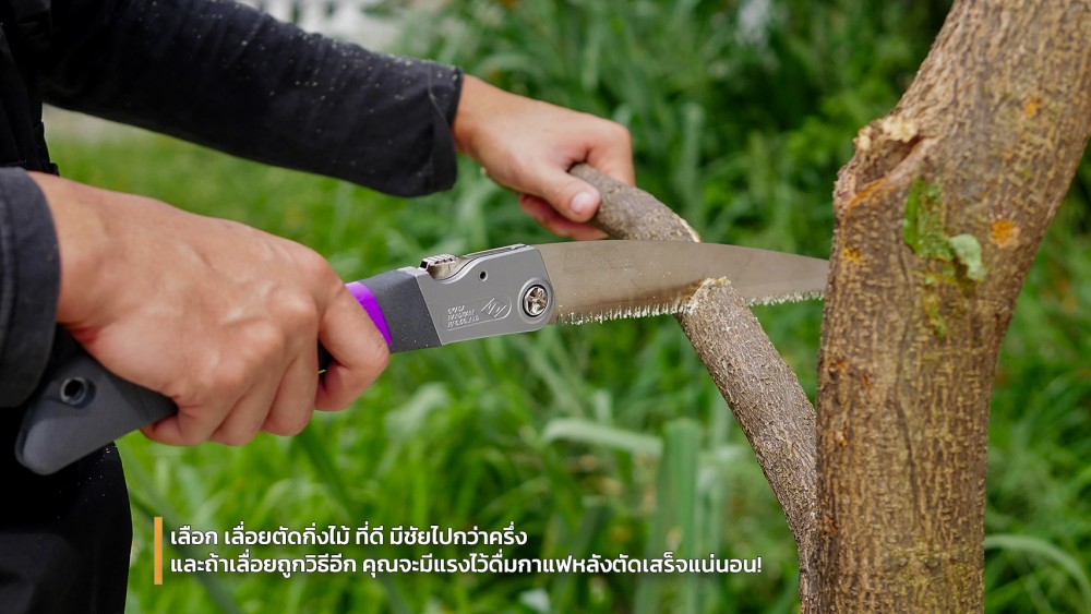 ใช้ เลื่อยตัดกิ่งไม้ ยังไงให้ตัดง่าย ไม่เปลืองแรง ใช้ เลื่อยตัดกิ่งไม้ ยังไงให้ตัดง่าย ไม่เปลืองแรง