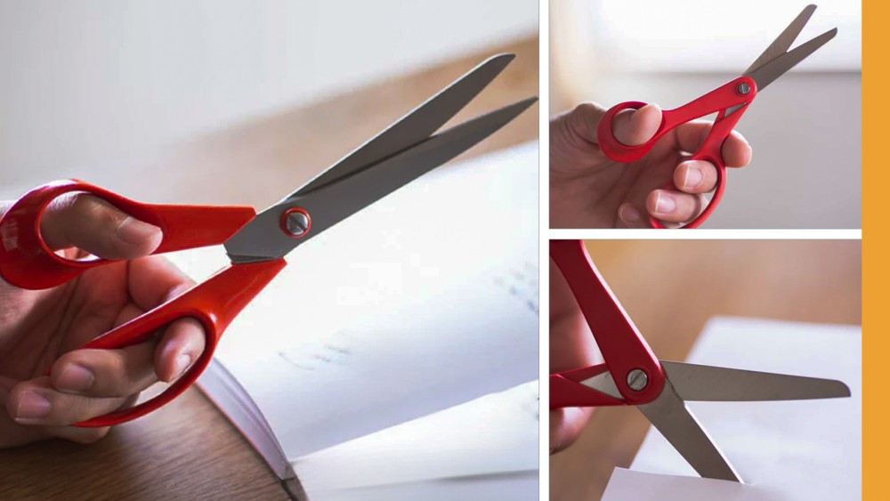 ทำไม กรรไกร มือซ้าย ถึงหายาก คนถนัดซ้ายต้องรู้