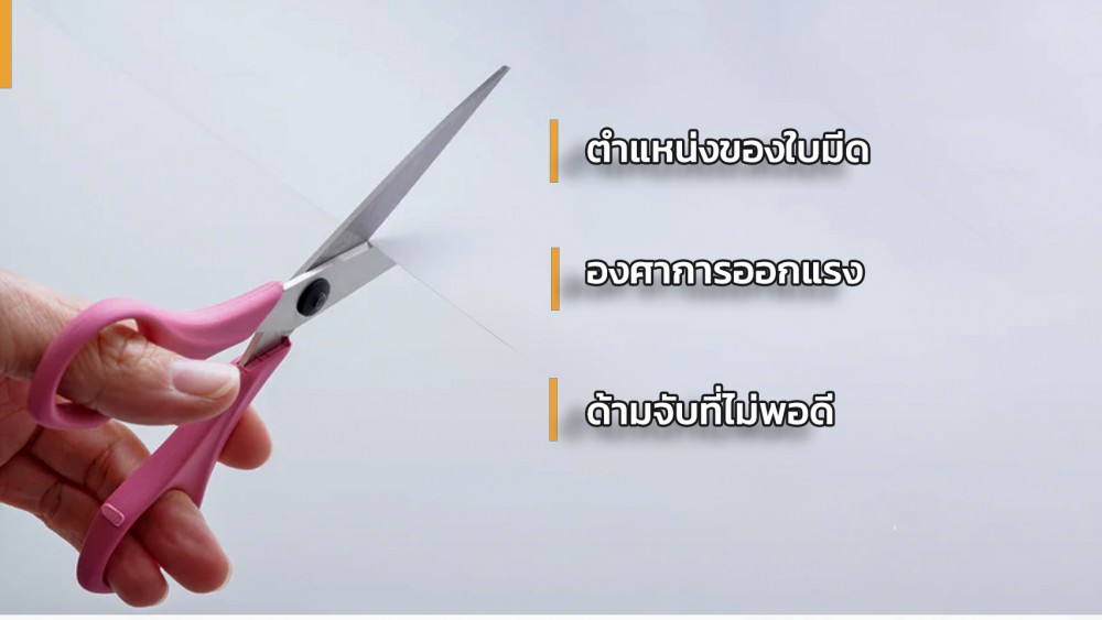 ทำไม กรรไกร มือซ้าย ถึงหายาก คนถนัดซ้ายต้องรู้