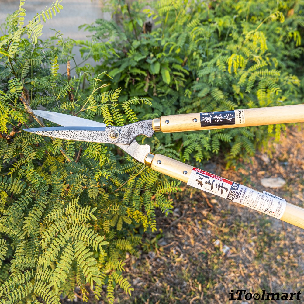 กรรไกรตัดแต่งพุ่มไม้ Dokan No 0128 Hedge Shears ด้ามไม้โอ๊ค