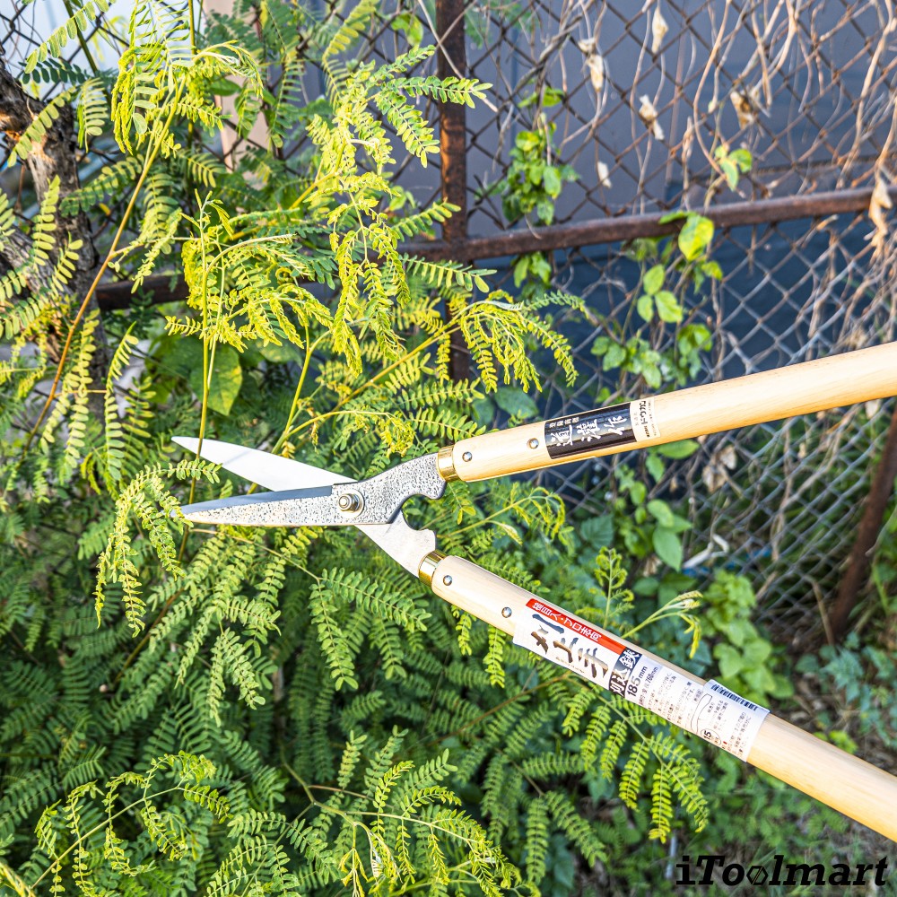 กรรไกรตัดแต่งพุ่มไม้ Dokan No 0128 Hedge Shears ด้ามไม้โอ๊ค