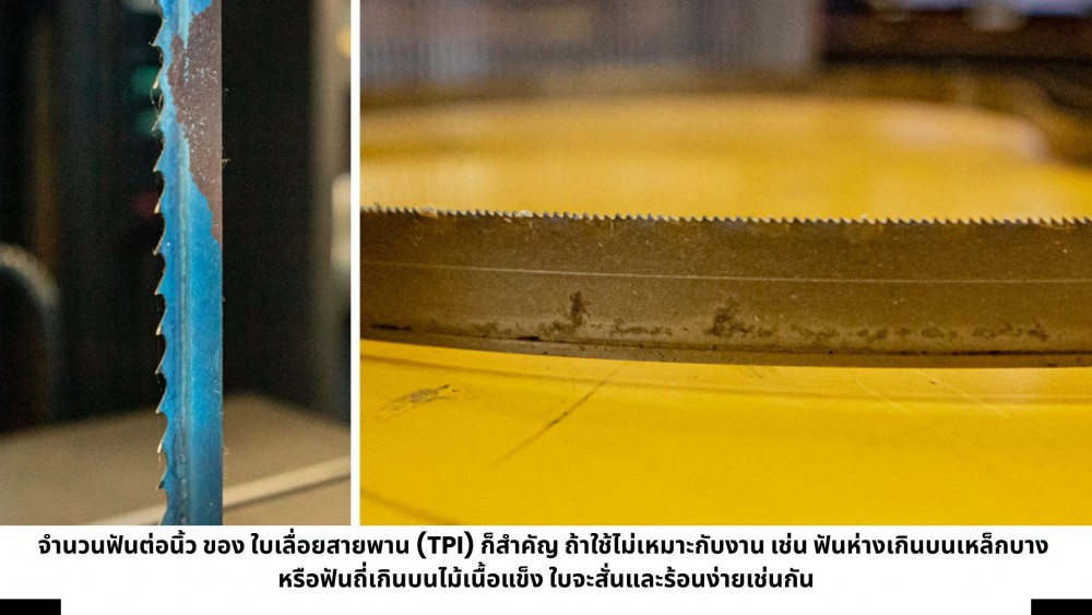 ทำไม ใบเลื่อยสายพาน ถึงขาดง่าย สาเหตุ วิธีแก้ และเช็คเอง ไม่ง้อช่าง ทำไม ใบเลื่อยสายพาน ถึงขาดง่าย สาเหตุ วิธีแก้ และเช็คเอง ไม่ง้อช่าง