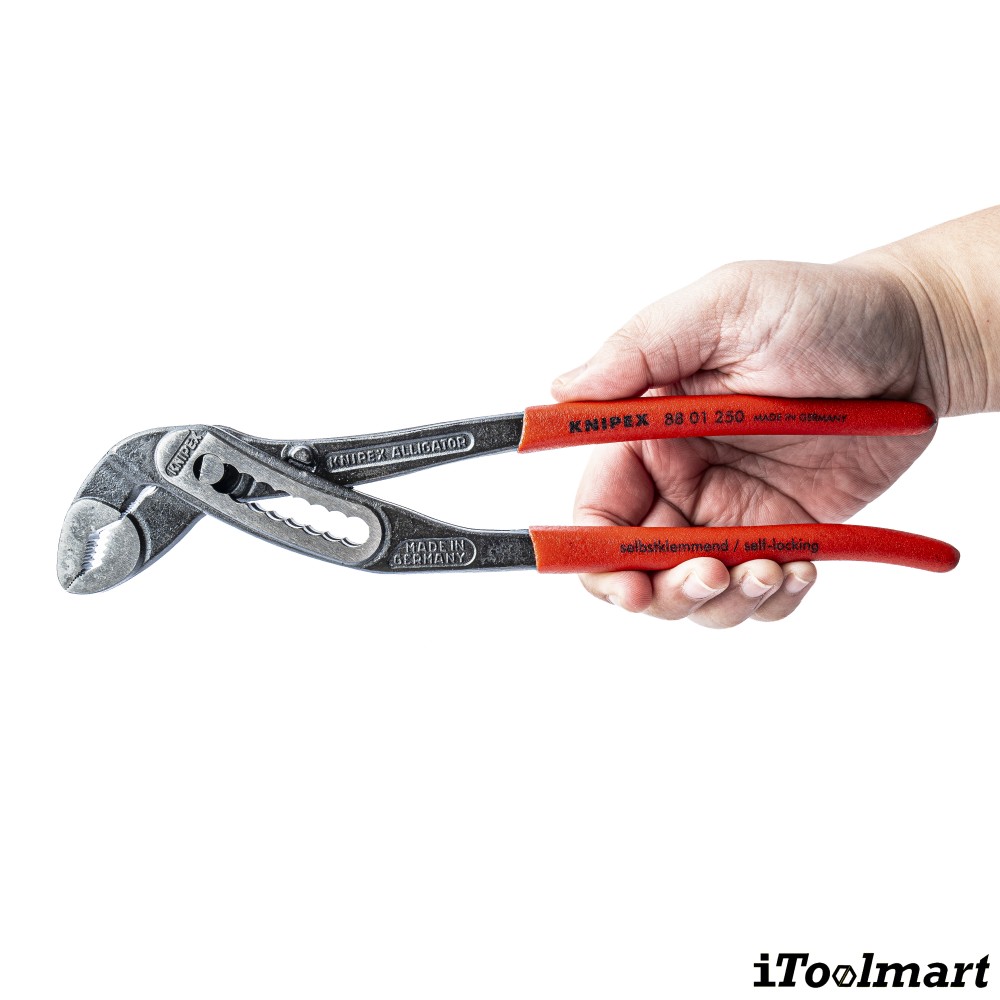 คีมคอม้า KNIPEX 88 01 250 SB คีมถอดปั๊มน้ำ Alligator