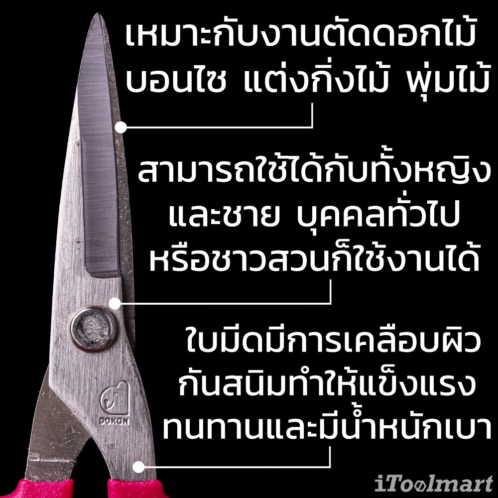 กรรไกรตัดดอกไม้ Dokan DK-650 Trimming Scissors ใบมีดสแตนเลส