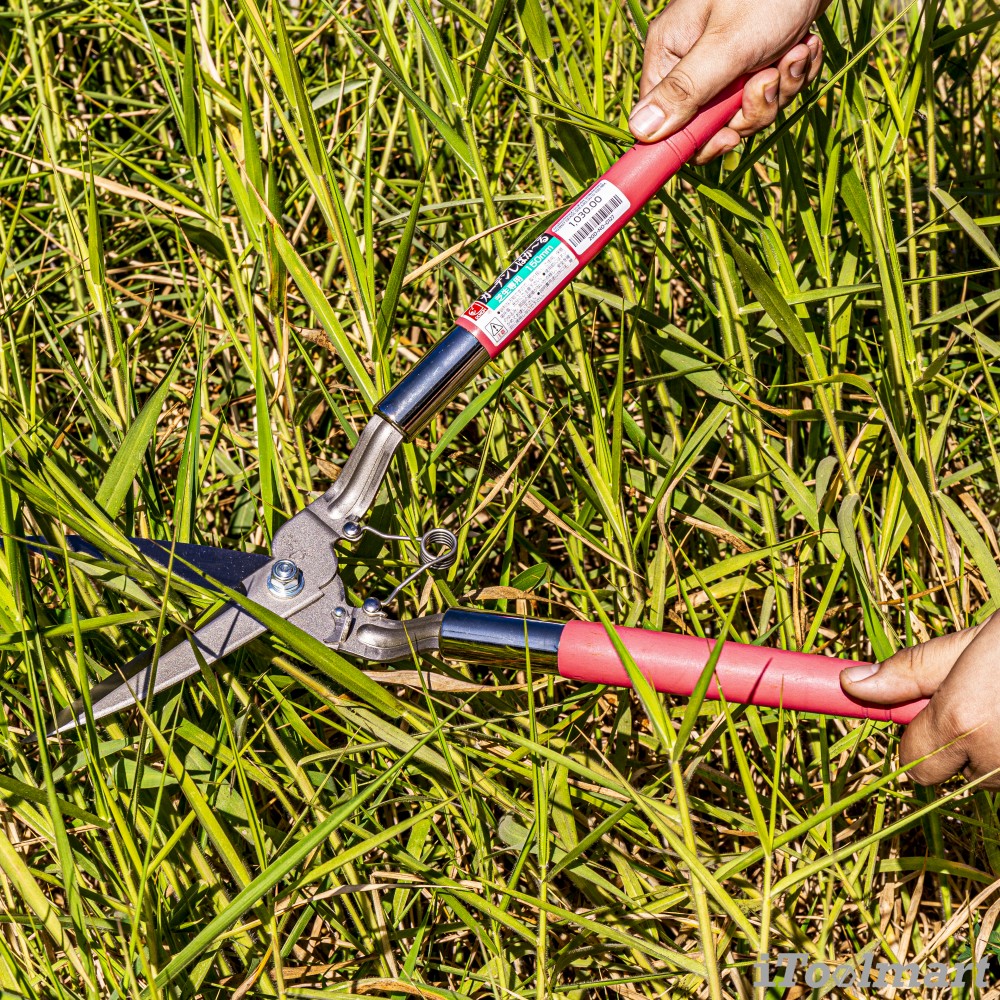 กรรไกรตัดหญ้า Dokan Shibakaru No.0127 Grass Shears ขนาด 150 mm. ใบมีดเยื้อง มีสปริง ใบมีดสแตนเลส