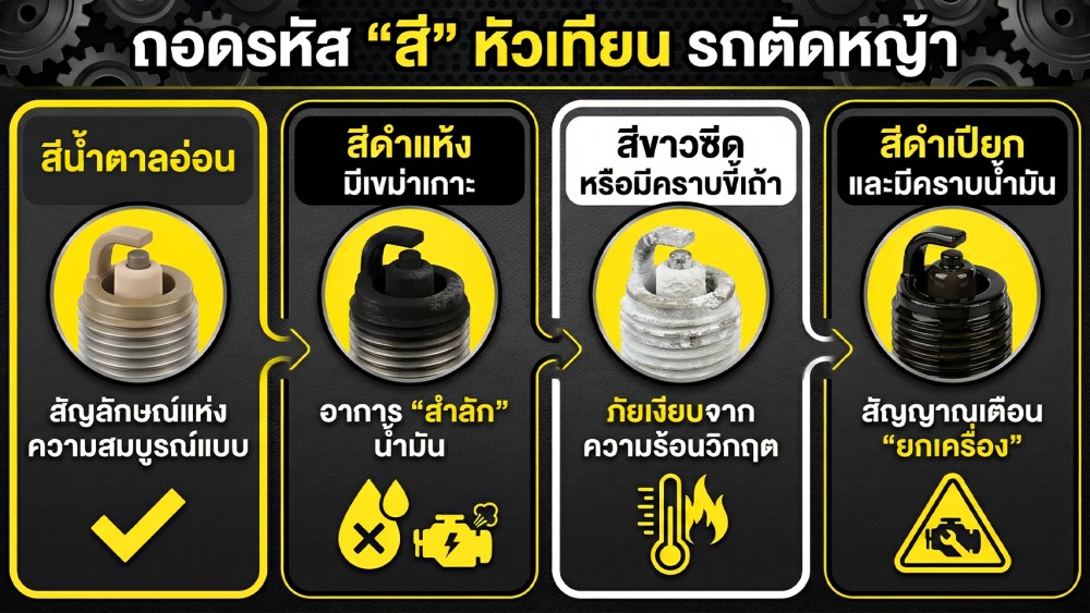 มาดูวิธีเลือก น้ำมันเครื่องและหัวเทียน สำหรับ รถตัดหญ้า กัน