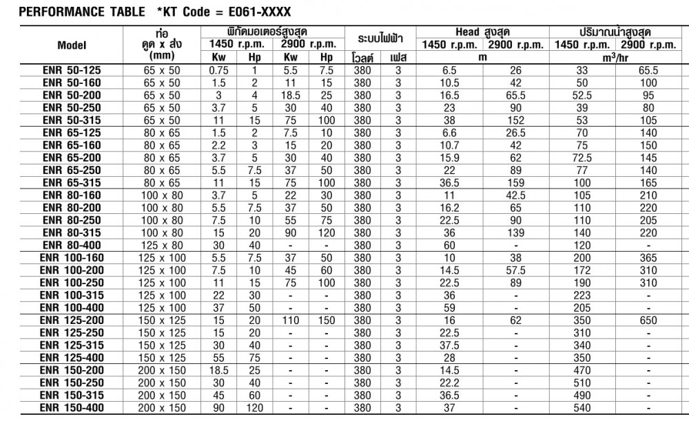 ปั๊มเพลาลอย Ebara ENR 100-250 (ใบพัด BRONZE) 5 x 4 นิ้ว