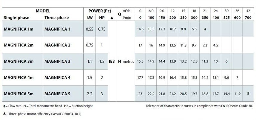 ปั๊มสระว่ายน้ำ Pedrollo รุ่น Magnifica 2m (1แรงม้า) ขนาด 2x2 นิ้ว