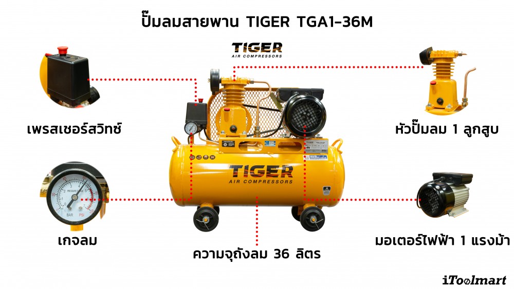 ชุดปั๊มลมสายพาน TIGER TGA1-36M 1/4HP ขนาดถัง 36 ลิตร (1 ลูกสูบ)