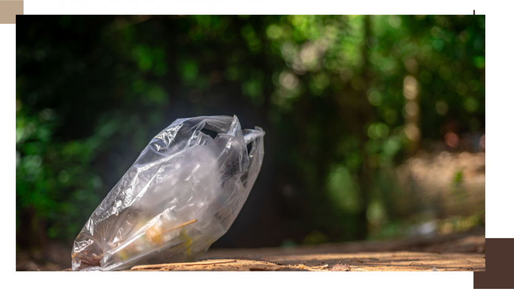 สัญลักษณ์บน ถุงพลาสติก HDPE LDPE LLDPE PP คืออะไร รู้ไว้ก่อนใช้ ปลอดภัยกว่าแค่ “เดาเอา” สัญลักษณ์บน ถุงพลาสติก HDPE LDPE LLDPE PP คืออะไร รู้ไว้ก่อนใช้ ปลอดภัยกว่าแค่ “เดาเอา”