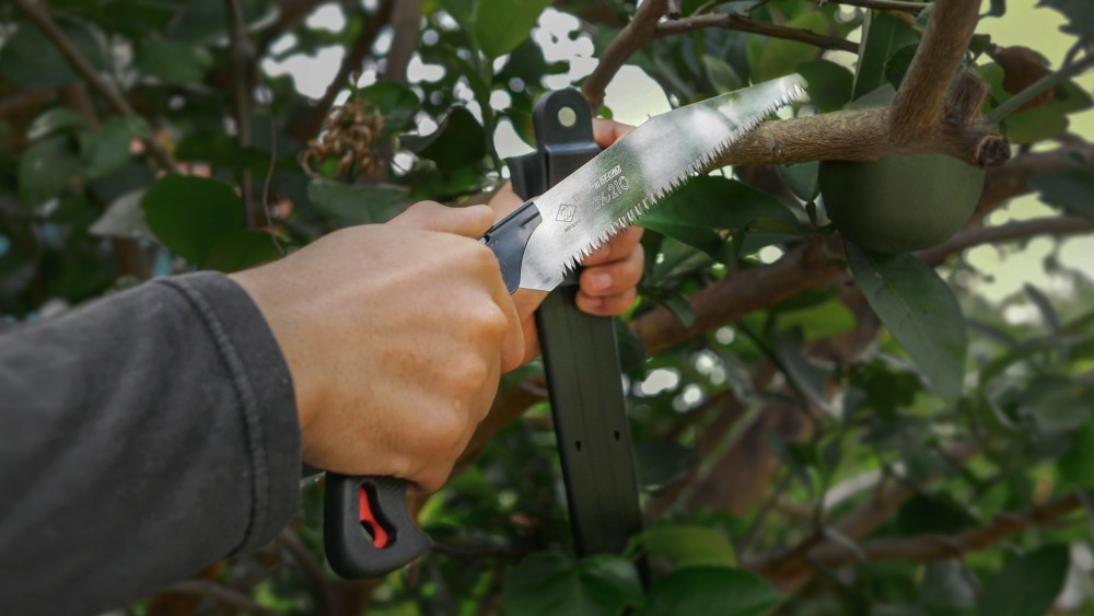 เลื่อยตัดกิ่งไม้ สำหรับไม้ผล ส้ม มะม่วง ทุเรียน ZET SAW PRUNING H-210 ขนาด 210 mm.