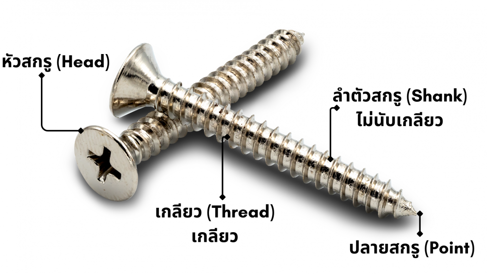 คู่มือสกรู เรื่องเล็กๆ ที่คุณต้องรู้