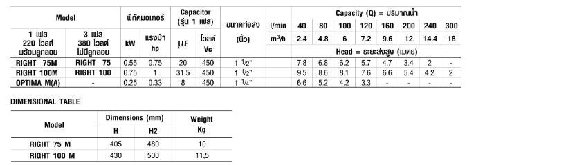 ปั๊มแช่ ไดโว่ Ebara RIGHT-75 ปั๊มจุ่มแสตนเลส 3สาย 380V
