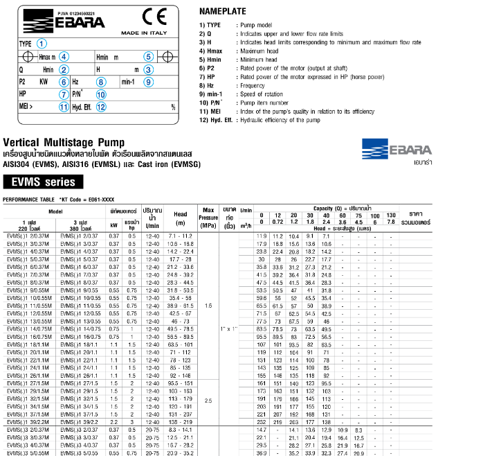 ปั๊มหอยโข่ง Ebara EVMS3 5F5/0.55 ปั๊มน้ำหลายใบพัดแบบตั้ง 1 นิ้ว X 1 นิ้ว