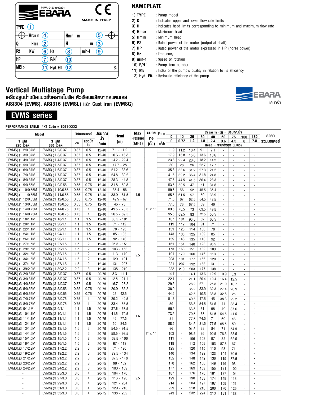 ปั๊มหอยโข่ง Ebara EVMS3 19F5/2.2 ปั๊มน้ำหลายใบพัดแบบตั้ง 1 นิ้ว X 1 นิ้ว