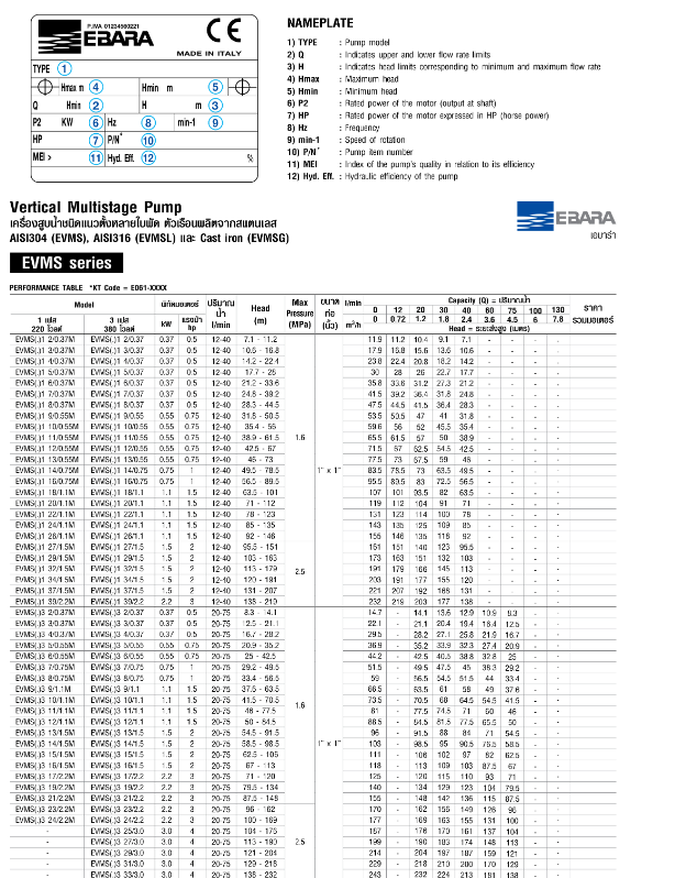ปั๊มหอยโข่ง Ebara EVMS5 13F5/3 ปั๊มน้ำหลายใบพัดแบบตั้ง 1 นิ้ว 1 ทับ 4 x 1 นิ้ว 1 ทับ 4