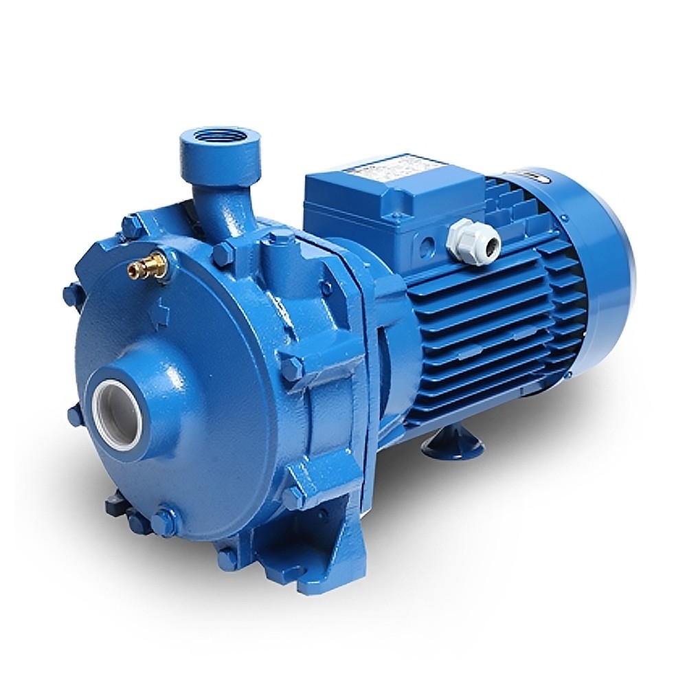 ปั๊มหอยโข่ง Ebara CDA-3.00T หอยโข่งใบพัดคู่ (3HP 3สาย) 380V 1 นิ้ว 1 ทับ 4 x 1นิ้ว