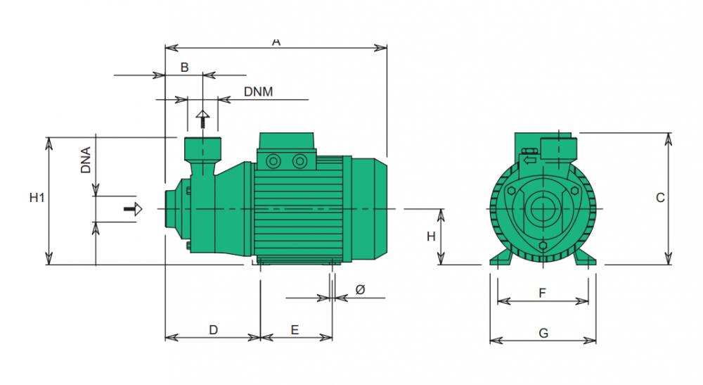SEALAND BASIC50 M Centrifugal water pump 1x1inch 0.5HP 220 volts