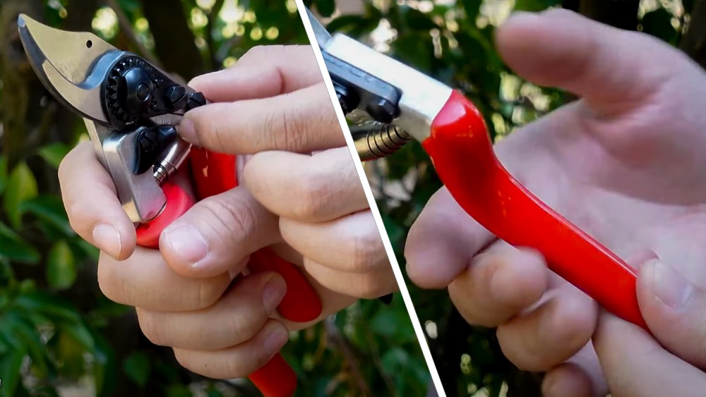 ทำไม กรรไกรตัดกิ่ง ถึงเริ่มฝืด ต้องลับคมหรือเปลี่ยนใหม่ไหม