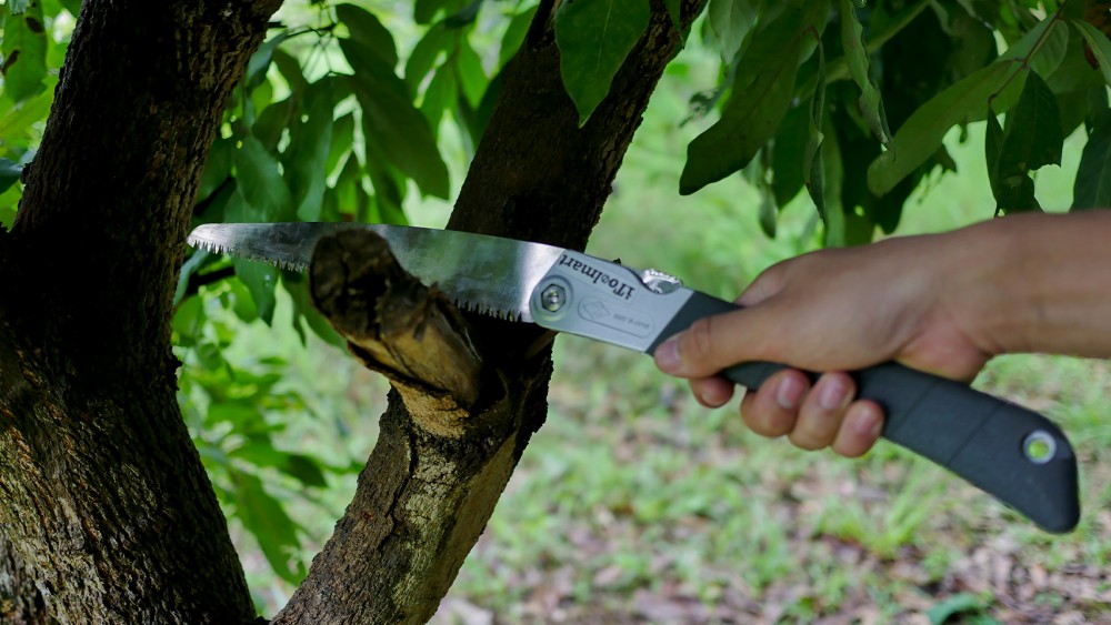 เลื่อย พับ พกง่าย แต่ใช้งานได้จริงแค่ไหน