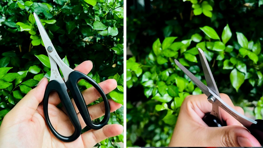 เลือกความยาว กรรไกร ยังไงให้เข้ามือ ทั้งงานบ้านและงานช่าง เลือกความยาว กรรไกร ยังไงให้เข้ามือ ทั้งงานบ้านและงานช่าง