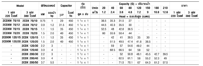 ปั๊มหอยโข่ง Ebara 2CDXM-120/15 ปั๊ม SS304 ใบพัดคู่ 2 สาย 1 นิ้ว 1 ทับ 4 X 1 นิ้ว