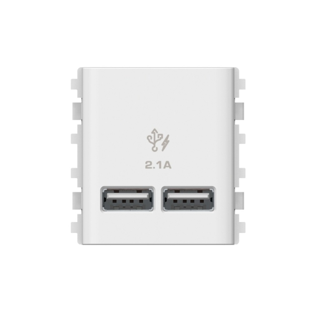 เต้ารับเดี่ยว SCHNEIDER 3032USB WE USB 2 1 A สีขาว ขนาด 2 ช่อง