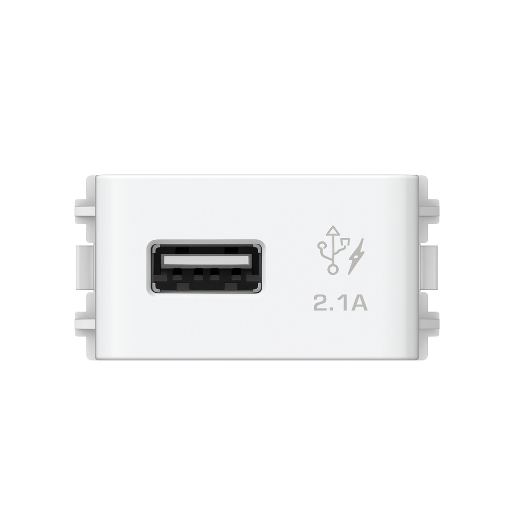 เต้ารับเดี่ยว SCHNEIDER 3031USB WE USB 2 1 A สีขาว ขนาด 1 ช่อง