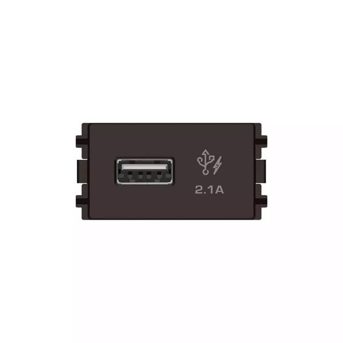เต้ารับเดี่ยว SCHNEIDER 8431USBBZ USB สีบรอนซ์ ขนาด 1 ช่อง  21A