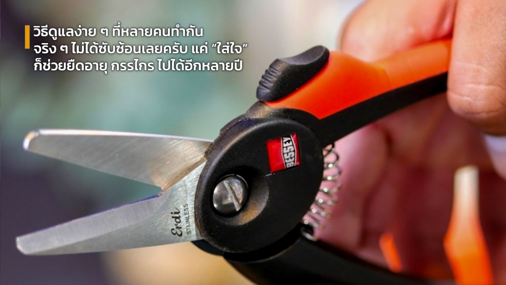 รู้ไหมว่า จุดหมุนของ กรรไกร คือตัวกำหนดความแม่นยำและแรงตัด รู้ไหมว่า จุดหมุนของ กรรไกร คือตัวกำหนดความแม่นยำและแรงตัด