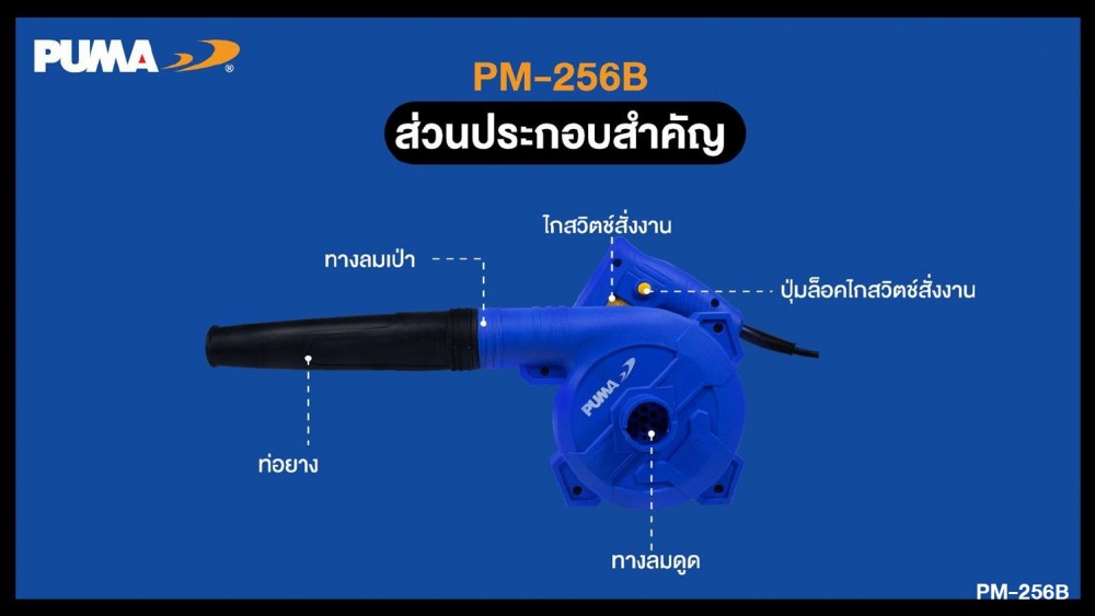 PUMA PM-256B