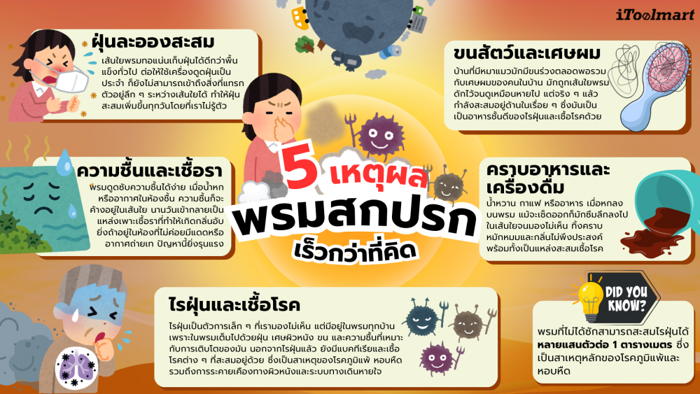 บ้านน่าอยู่จริงหรือ เมื่อพรมกลายเป็นแหล่งเชื้อโรค