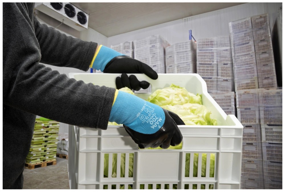 ถุงมือกันความเย็น MAPA TempIce 700 เบอร์ 9 L กันความเย็นสูงสุด  10°C Food Grade