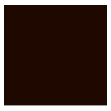 สีสเปรย์มอเตอร์ไซค์และรถยนต์ NIPPON PAINT PYLAC 1000 สีเปลือกมังคุด Y-9 สำหรับ YAMAHA ขนาด 400 CC - 2
