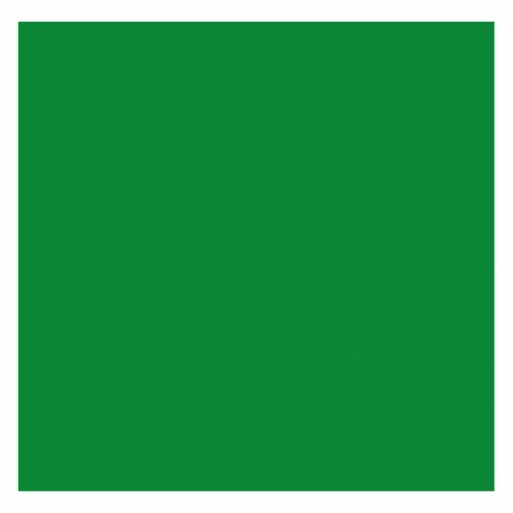 สีสเปรย์มอเตอร์ไซค์และรถยนต์ NIPPON PAINT PYLAC 1000 สีเขียว K-12 สำหรับ KAWASAKI ขนาด 400 CC - 2