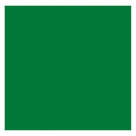 สีสเปรย์มอเตอร์ไซค์และรถยนต์ NIPPON PAINT PYLAC 1000 สีเขียวสด K-33 สำหรับ KAWASAKI ขนาด 400 CC - 2